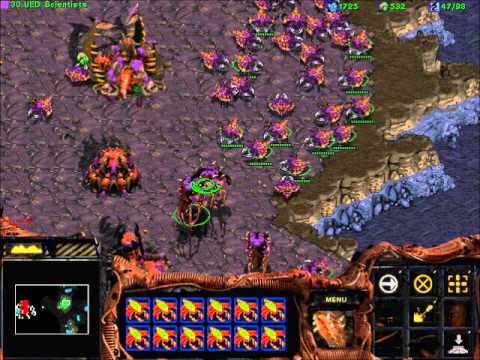 StarCraft Broodwar! -  Zerg mission 6 :FURY OF THE SWARM! -