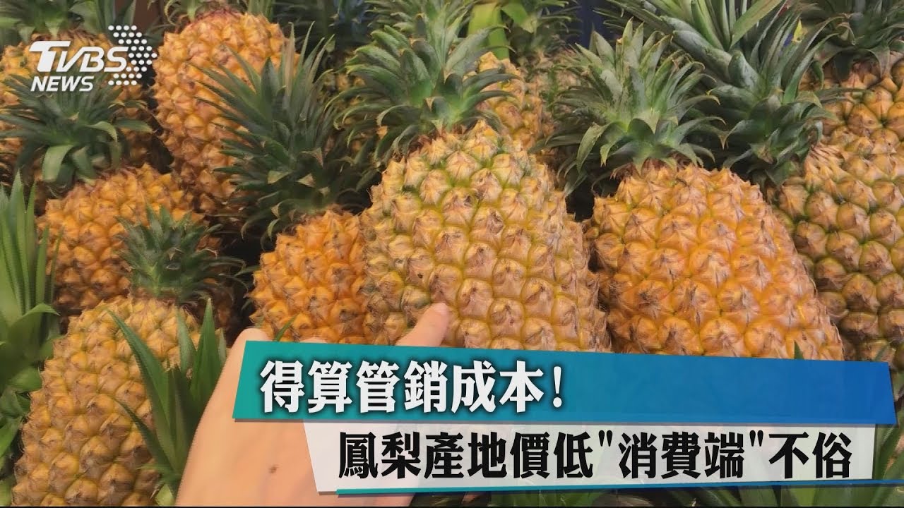 得算管銷成本!鳳梨產地價低 「消費端」不俗