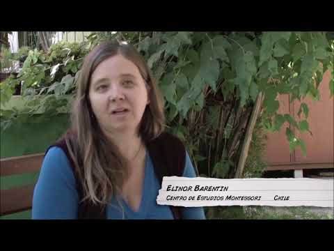 La Educación Tradicional - Su historia y propósito