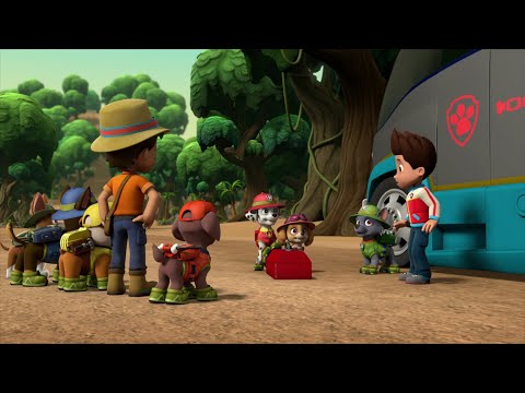 Ryder's Surprise - Paw Patrol