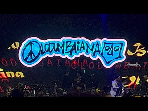 OlodumBaiana Coala 2023