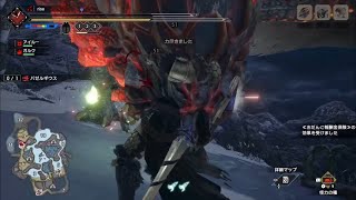 今日のバゼルギウス