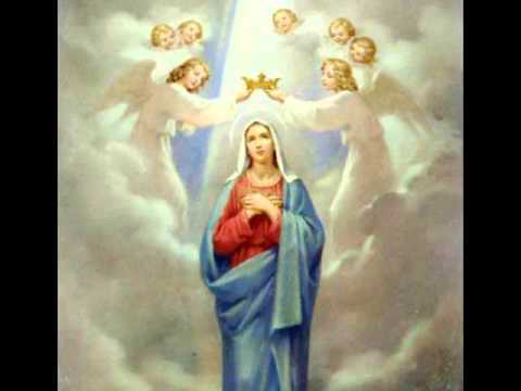 Salve Regina - All Angels