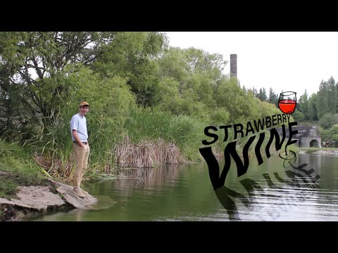 Strawberry Wine - Floor Five (OFFICIAL LYRIC VIDEO)