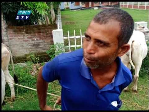 সীমান্ত দিয়ে পণ্য আনা নেয়া বন্ধ থাকলেও আসছে গরু