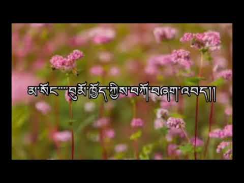 Majo Majo by Namgay Dorji || Kheng Sonam Dorji's composition || Bhutanese music