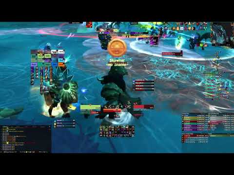 No Shame Vs. Sennarth Mythic - BM Hunter - Raid Leader POV