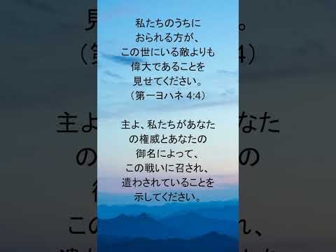 動画を再生