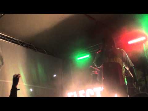Mungo's Hi Fi feat Solo Banton @ Electric Castle 2014, Cluj-Napoca - part 2 (Dancehall School)