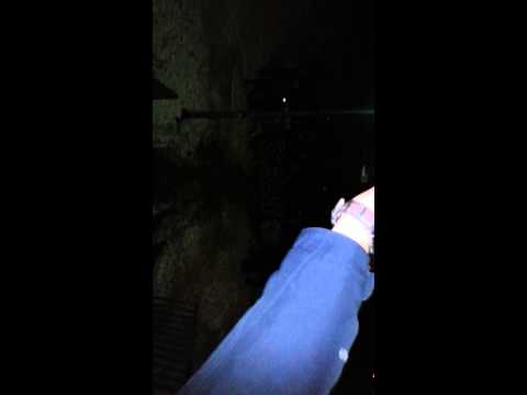 Celuloza Kostrzyn przemarsz