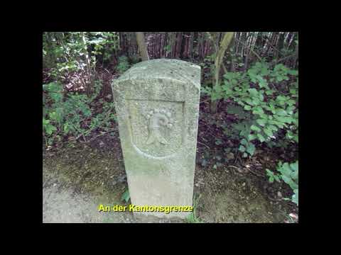 Bänkliwanderungen 2015 BLKB; Wanderung 12; Giebenach-Füllinsdorf-Arisdorf-Hersberg-Nusshof-Lausen