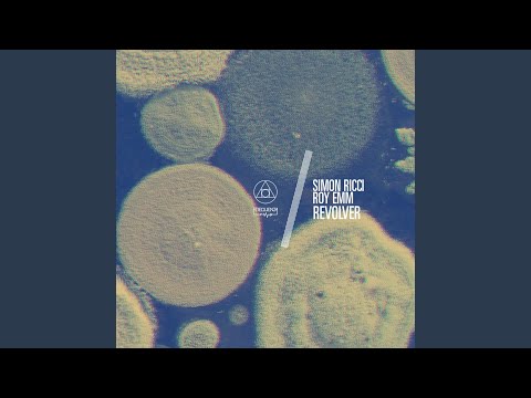 Revolver (Original Mix)