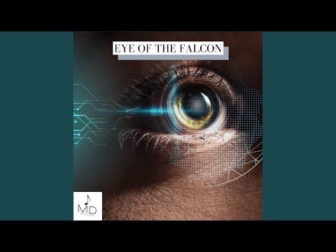 Eye Of The Falcon