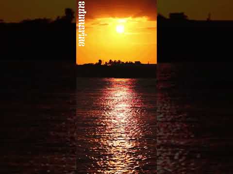 Summer remix(Avicii,Seeb,Kygo,Gryffin)