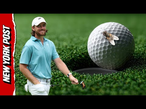 Did a FLY Help Golfer Tommy Fleetwood Sink This Putt? Physicist Explains Viral Video