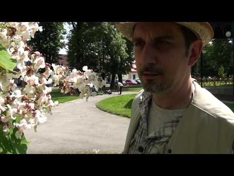 Slatinski pijac 3 petka, 19.6. - 10.7.2020.  video