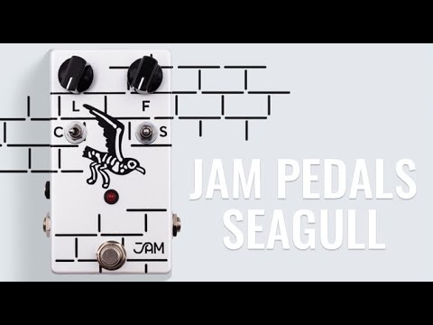 Jam Pedals Seagull - David Gilmour's Echoes sound!