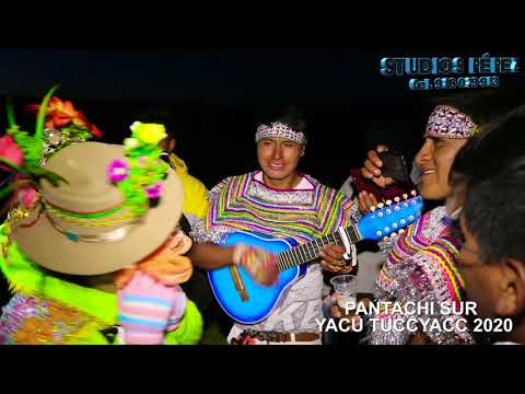 Hesitation in Pantachi Sur Yacu tuccyacc 2020