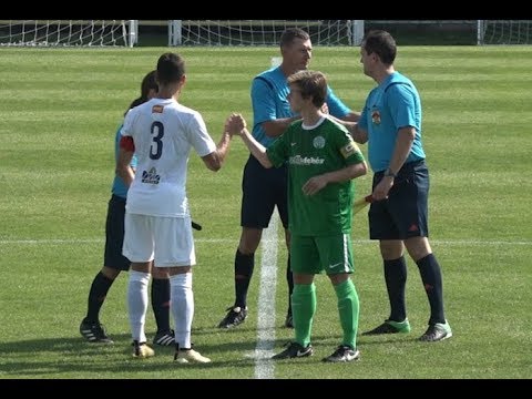 PFLA(2001) - FTC 0-1