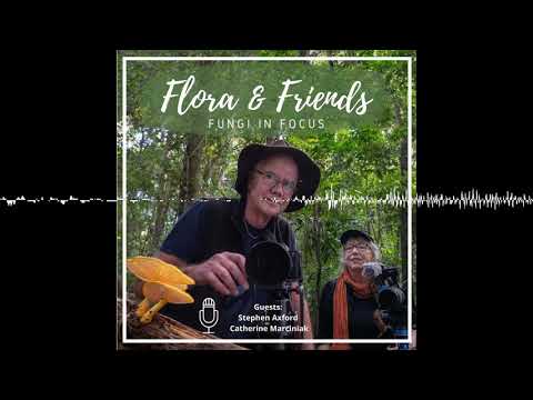 A journey into the woods - Fungi in focus - part 1. Guests: Stephen Axford & Catherine Marciniak
