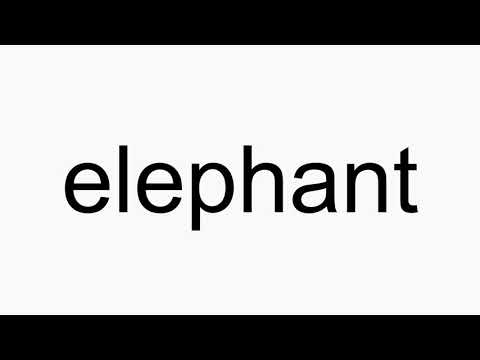 How to pronounce elephant
