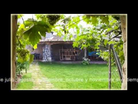 Casa Rural del Labrador en Gomezserracín, Segovia