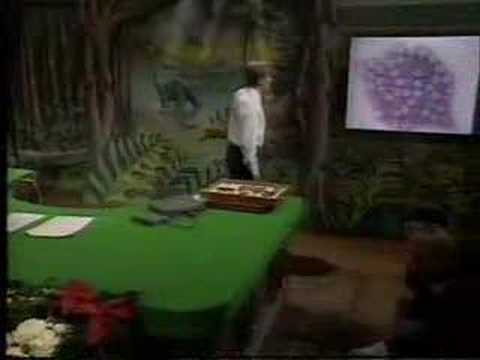 Dawkins: Lecture 4.  The ultraviolet garden (3 of 7)