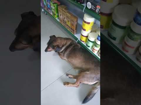 muito calor em Jussara Goiás Só no ar