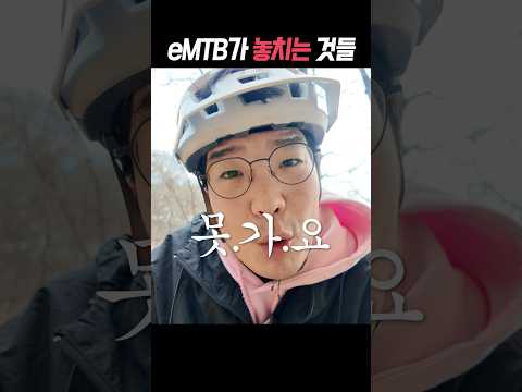 eMTB 유일한 단점