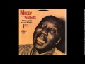 Muddy Waters - She´s into somthing - SaW SaSa Muddy Waters - She´s into somthing
