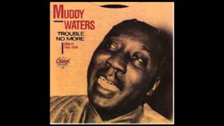 Muddy Waters - She´s into somthing