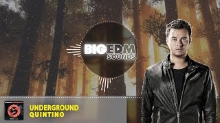 [WILD!!] Quintino - Underground (Original Mix) | Big EDM Sounds