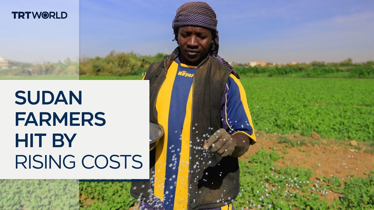 Farmers in Sudan battle rising fuel and fertiliser prices