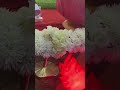 Ganpati Aarti Amitabh Bachchan Tej Maurya Bhakti Song Ganeshotsav Lucknow