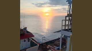 Download lagu Lagu Rimba mp3