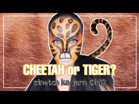 How to Create Tiger or Cheetah Creative Makeup Look