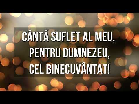 10,000 Motive (Canta suflet al meu)