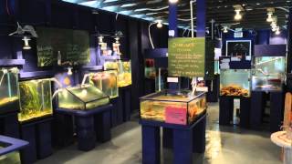 Introducing: The Nicholas Sonntag Marine Education Centre