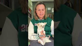 TENTANDO ENSINAR MINHA FILHA COM A LIÇÃO DE CASA