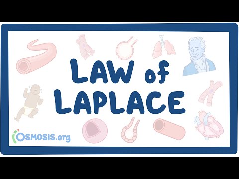 Potassium homeostasis an Osmosis Preview