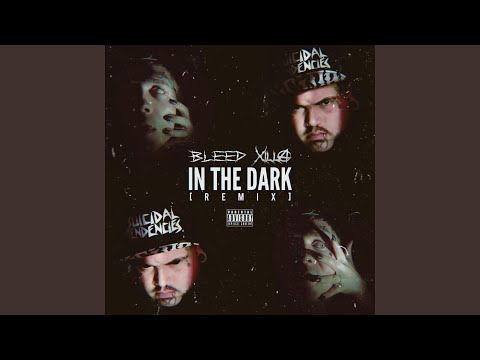 In The Dark (Xilla Gore-Rel-A Remix)