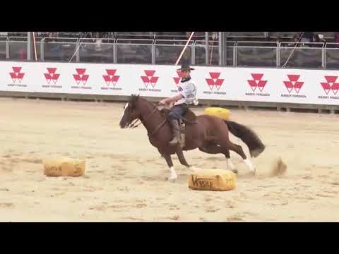 Lote 1 SANTA ALICE NUBLADO II
