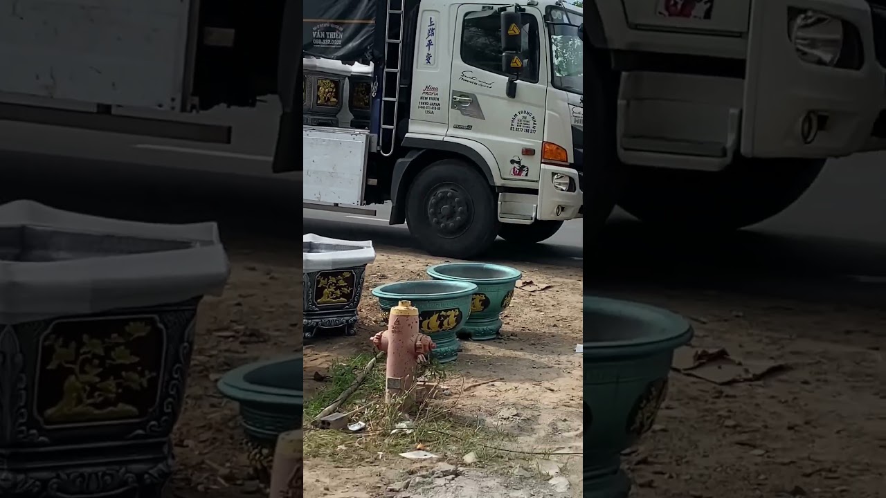 Nay e giao lô chậu lớn cho a khách vip Sài gòn.Cảm ơn a A thương tình ủng hộ.