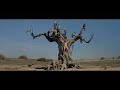 Conan The Barbarian Crucified On The Tree Of Woe HD