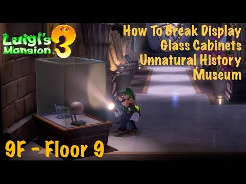 Luigi's Mansion 3 | How To Break Glass Display Cabinets - 9F - Unnatural History Museum
