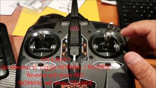 DXe AUX1 servo reverse