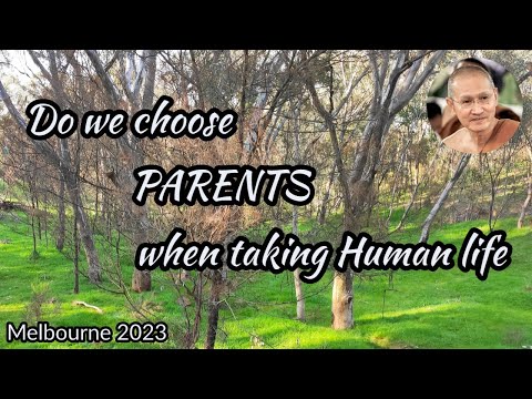 Do we 𝐜𝐡𝐨𝐨𝐬𝐞 𝐏𝐀𝐑𝐄𝐍𝐓𝐒  when taking 𝐑𝐄𝐁𝐈𝐑𝐓𝐇 as human |-  Tan Ajahn Dtun [ English/Thai ]