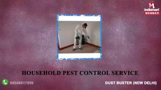 Pest Control And Housekeeping Services by Dust Buster, New Delhi