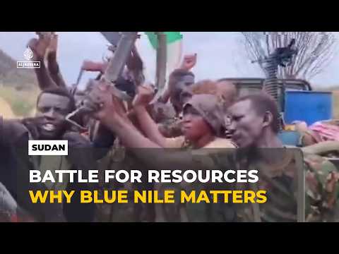 Sudan army retakes strategic Blue Nile territory from RSF