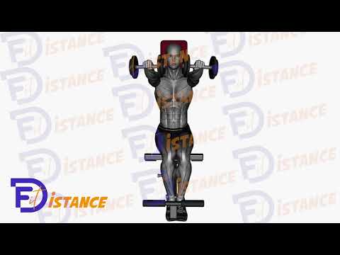 Exercice Élévations frontales assises avec des haltères